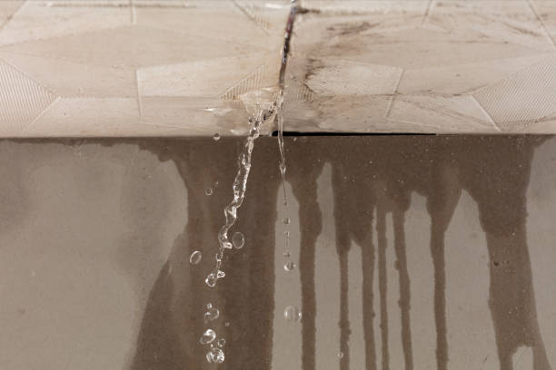 Professional Structural Drying technician working in Chapel Hill, NC